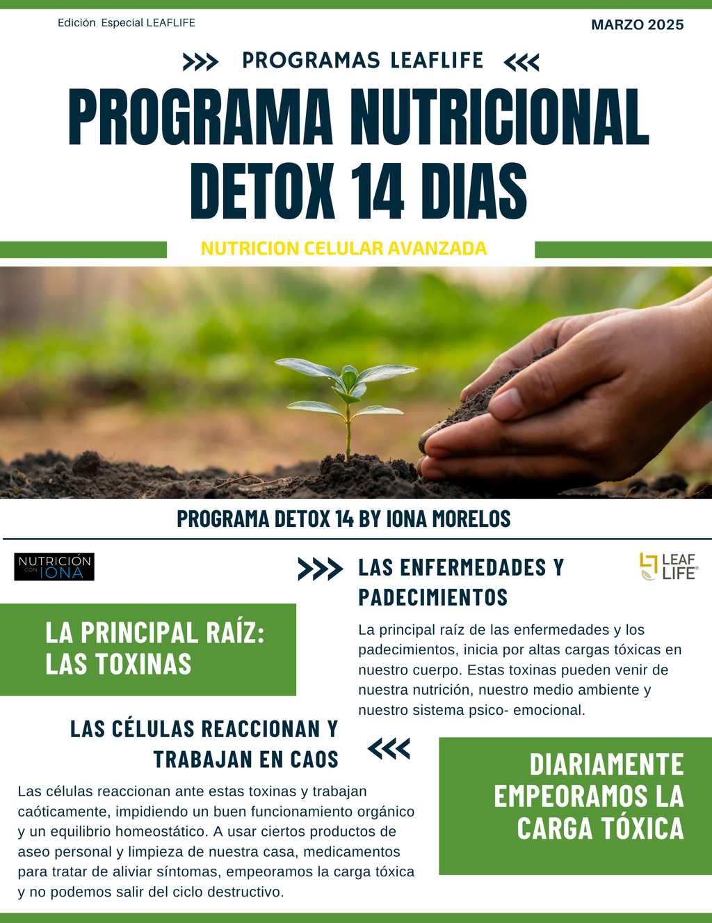 PLAN NUTRICIONAL DETOX14 by Master Coach Iona Morelos