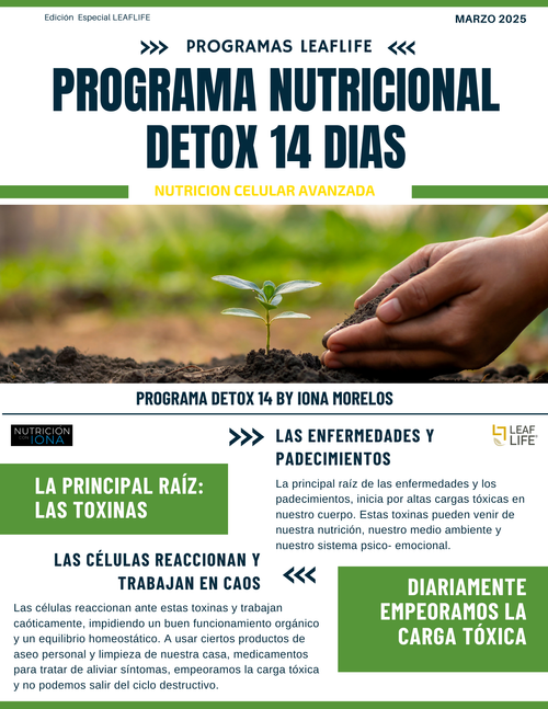 PLAN NUTRICIONAL DETOX14 by Master Coach Iona Morelos
