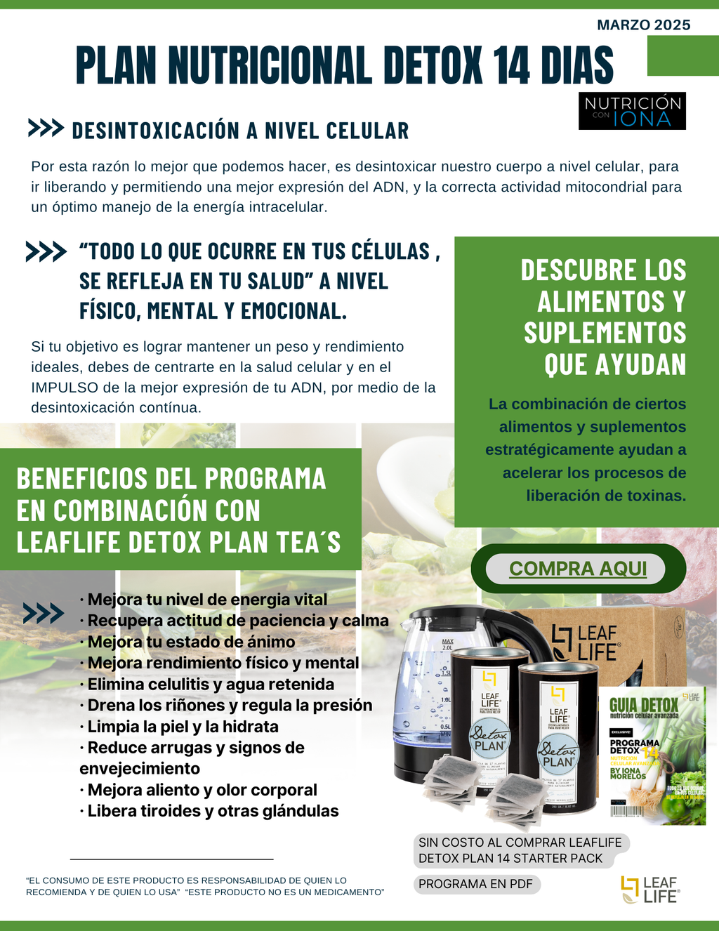 PLAN NUTRICIONAL DETOX14 by Master Coach Iona Morelos