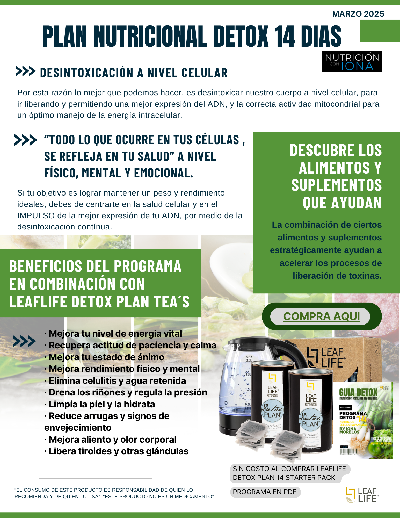PLAN NUTRICIONAL DETOX14 by Master Coach Iona Morelos